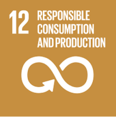 Sustainability goal number 12